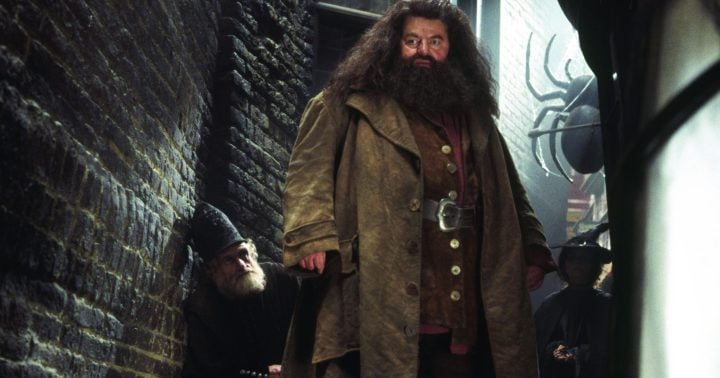 Hagrid