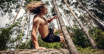 Od Tarzana po Uncharted: Které kultovní filmy nás vezmou do nezkrotné džungle?