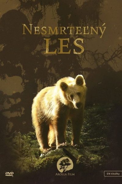 Plakát Tajomné Karpaty - Nesmrteľný les