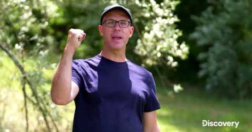 Zaprášené bohatství