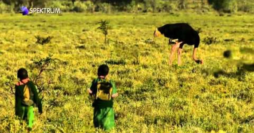 Nejnebezpečnější cesty do školy