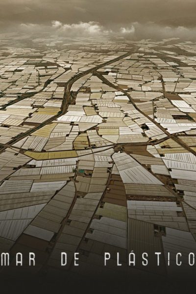 Plakát Plastové moře