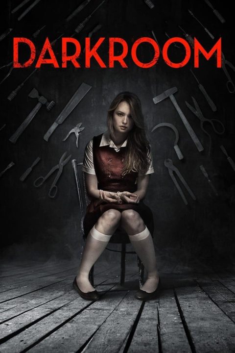 Plakát Darkroom