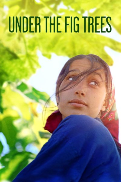 Plakát Pod fíkovníky