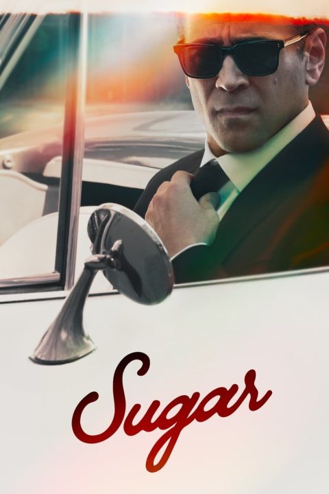 Plakát Sugar