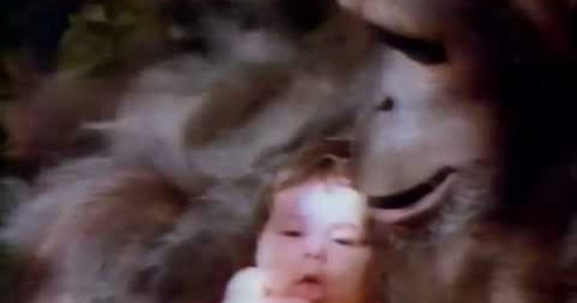 Příběh Tarzana, pána opic