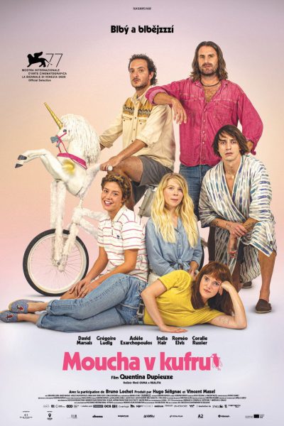 Plakát Moucha v kufru