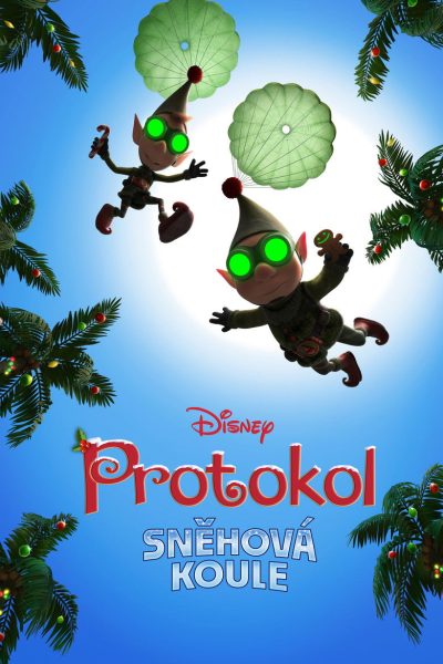Protokol Sněhová koule