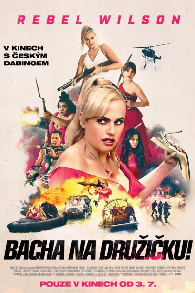 Plakát Bacha na družičku!