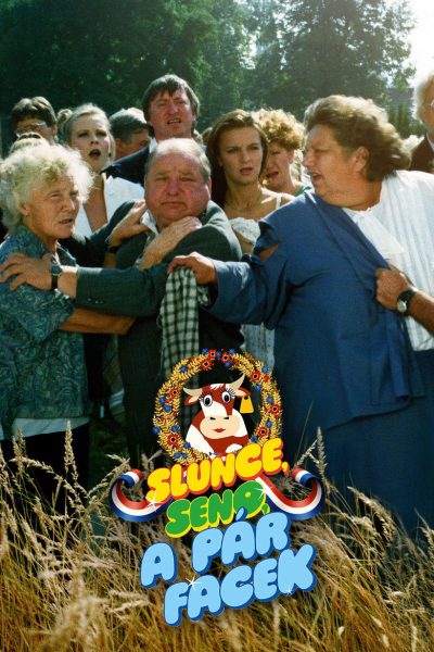 Plakát Slunce, seno a pár facek
