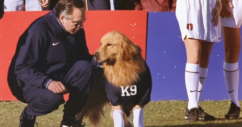 Air Bud - Fotbalista