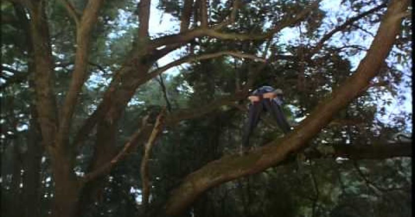 Ace Ventura 2: Volání divočiny