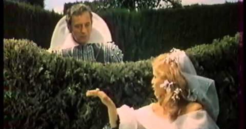 Pošetilost mocných