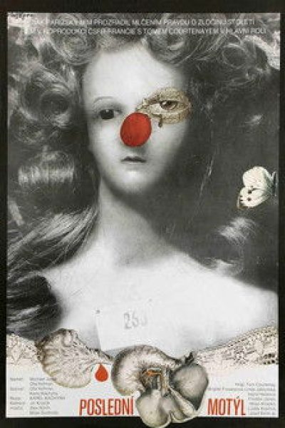 Plakát Poslední motýl