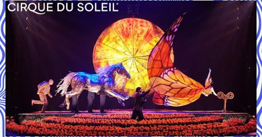 Sluneční cirkus - Luzia