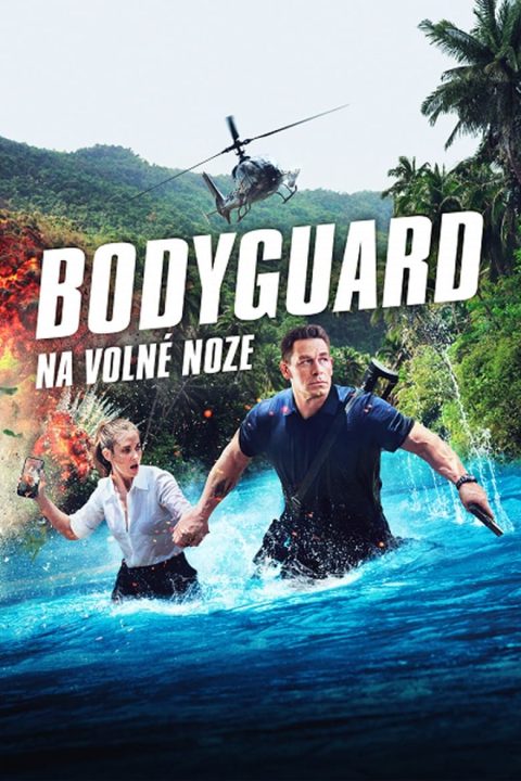 Plakát Bodyguard na volné noze