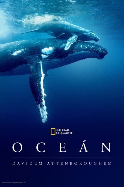 Oceán s Davidem Attenboroughem