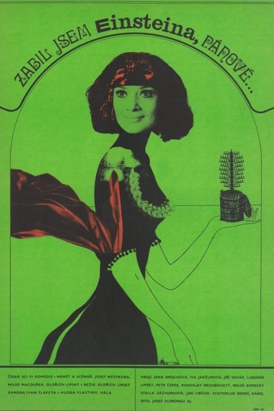 Plakát Zabil jsem Einsteina, pánové...