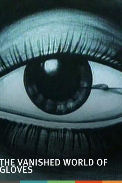 Plakát Zaniklý svět rukavic