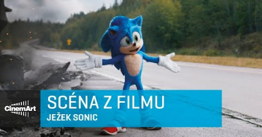 Ježek Sonic