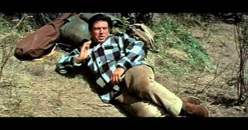 My Side of the Mountain