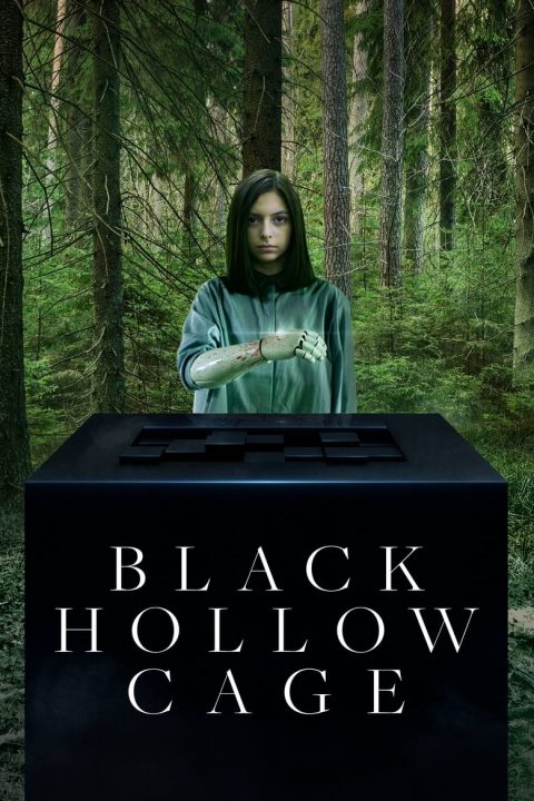 Plakát Black Hollow Cage