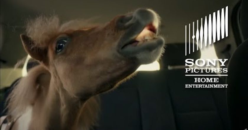 S tebou mě baví žít