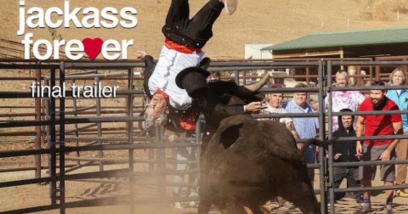 Jackass 4