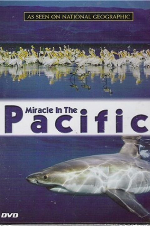Miracle in the Pacific