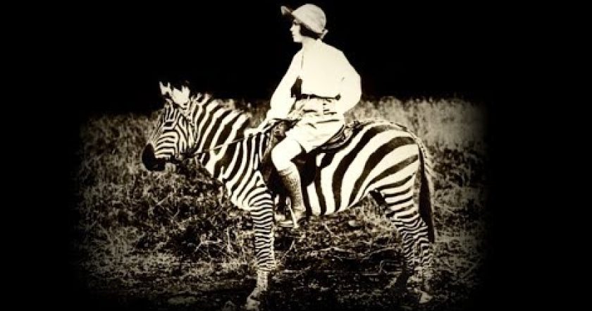 Archa světel a stínů