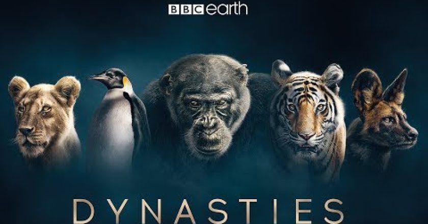 David Attenborough: Zvířecí dynastie
