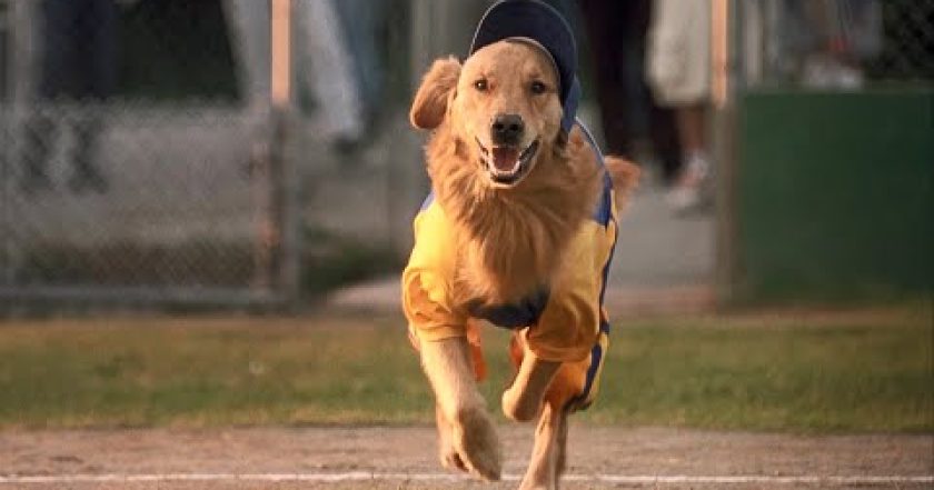 Buddy - Hvězda baseballu