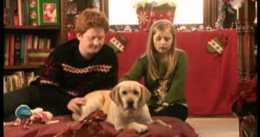 Pes, který zachránil Vánoce