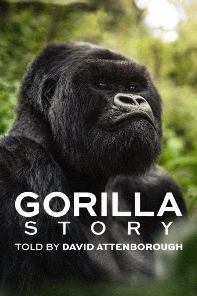 David Attenborough: Gorilí příběh