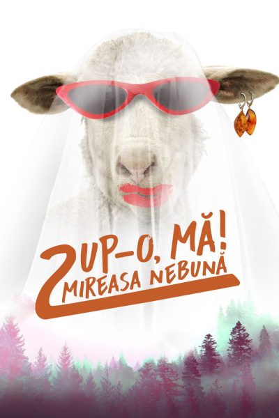 Plakát Pusu na to: Bláznivá nevěsta