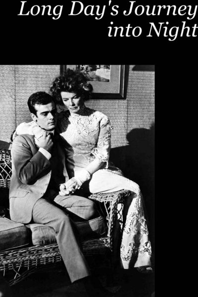 Plakát Cesta dlouhého dne do noci