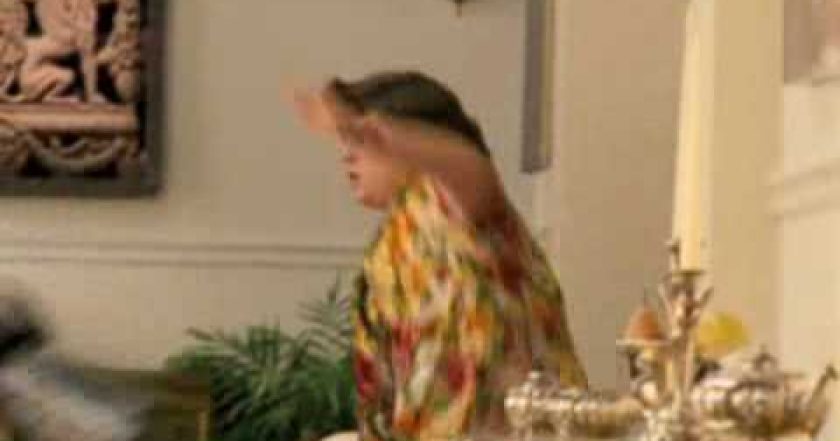 Ace Ventura Junior: Zvířecí detektiv