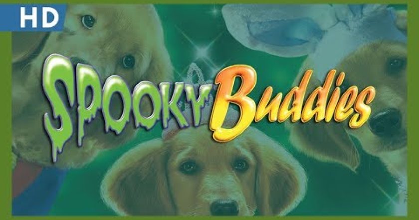 Psí dobrodružství