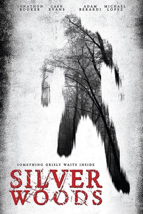 Plakát Silver Woods