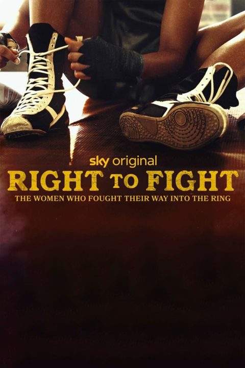 Plakát Right to Fight