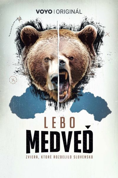 Lebo medveď
