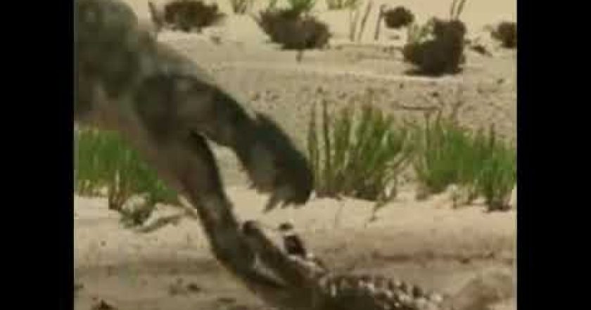 Putování s pravěkými monstry