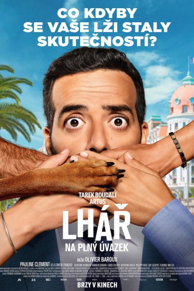 Plakát Lhář na plný úvazek