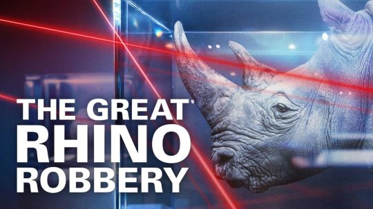 The Great Rhino Robbery - 3. epizoda
