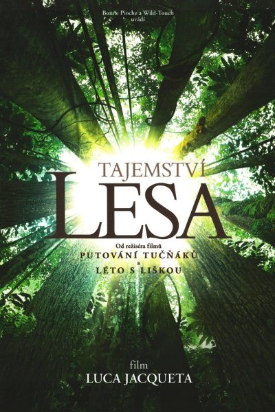 Plakát Tajemství lesa