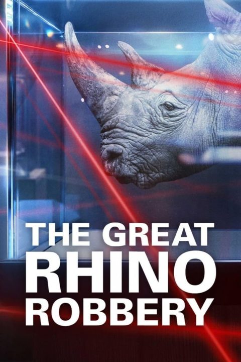 Plakát The Great Rhino Robbery