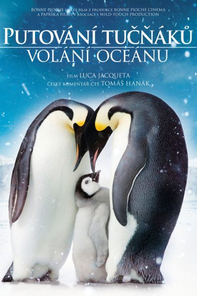Plakát Putování tučňáků: Volání oceánu