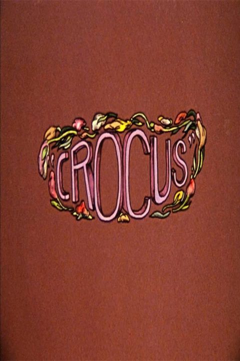 Plakát Crocus