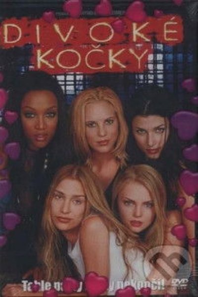 Plakát Divoké kočky