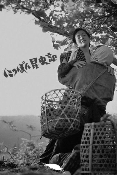 Plakát Záznam o japonském hmyzu